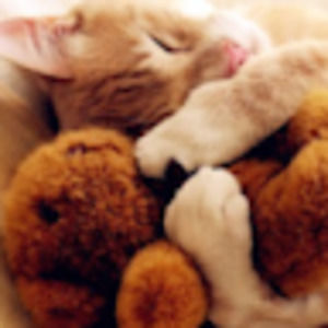 Meet your Posher, Lilly jane